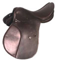 Jumping Saddle
