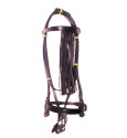 Spanish Bridle