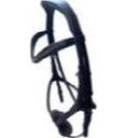 Snaffle bridle