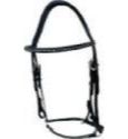 Icelandic Bridle