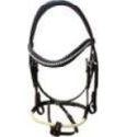 Icelandic Bridle