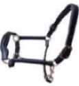 Leather Halter