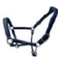 Leather Halter