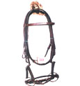 Western Bridlehalter