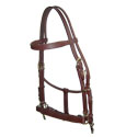 Halter Bridle. 