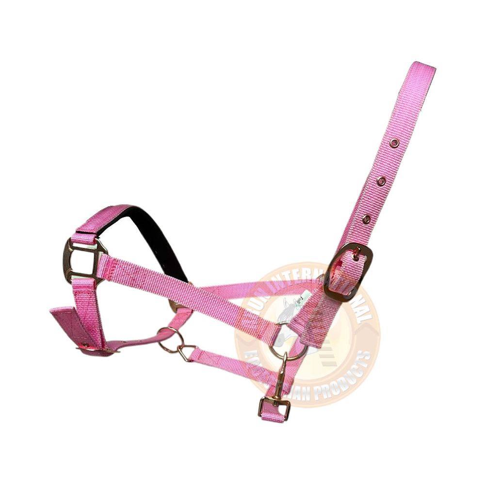 PP Halter