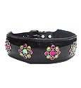 Dog Collars