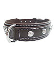 Dog Collars