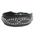 Dog Collars
