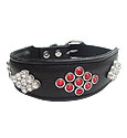 Dog Collars