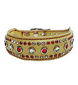 Dog Collars