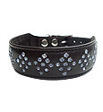 Dog Collars