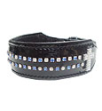 Dog Collars