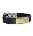Dog Collars