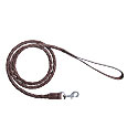Dog Leads